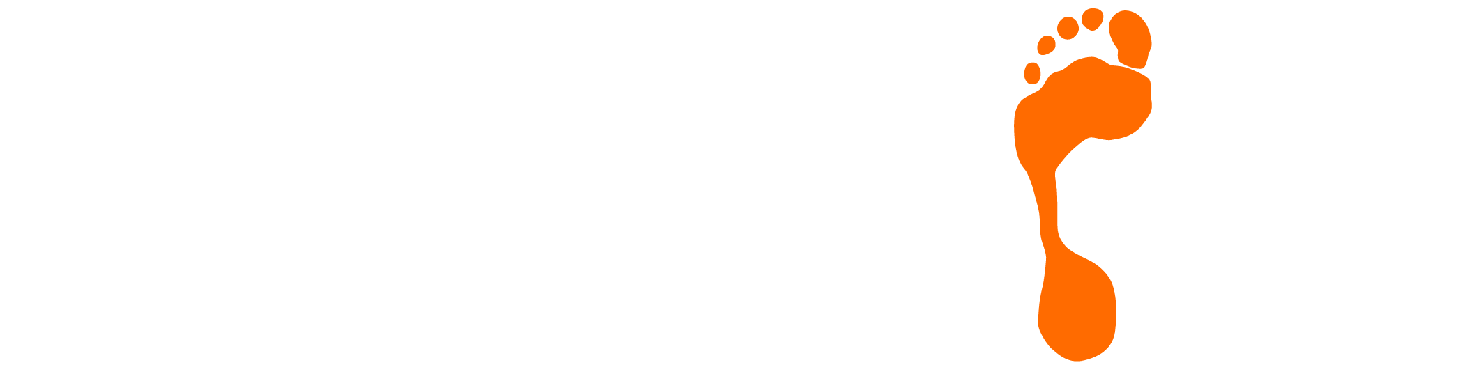 Footprint Digital Logo white